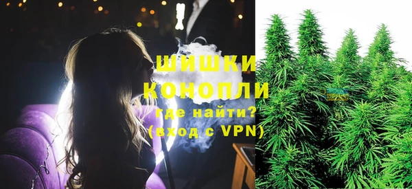крисы Дмитриев