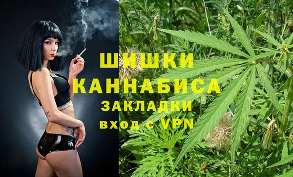 крисы Дмитриев