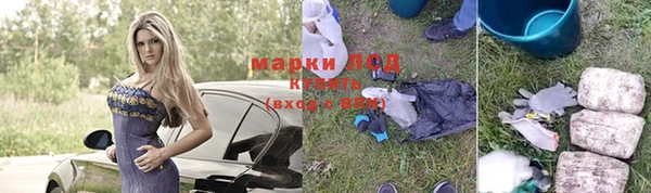 шишки Жердевка