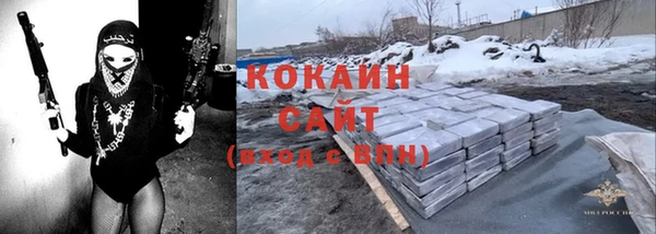 крисы Дмитриев