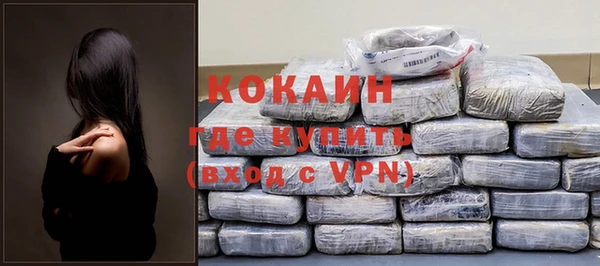 крисы Дмитриев