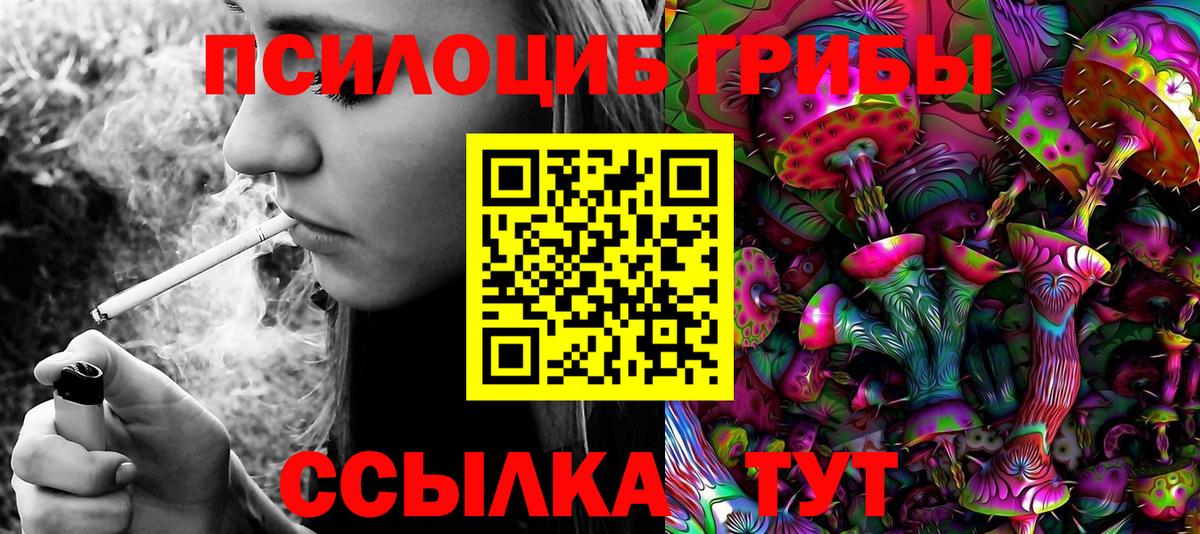 Псилоцибиновые грибы MAGIC MUSHROOMS  Вход с VPN  Псилоцибиновые грибы прущие грибы  Зеленодольск 